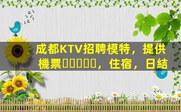 成都KTV招聘模特，提供機票，住宿，日結